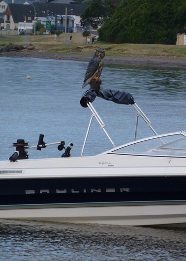 5331210026_713fb95a8d_b 5331210026_713fb95a8d_b